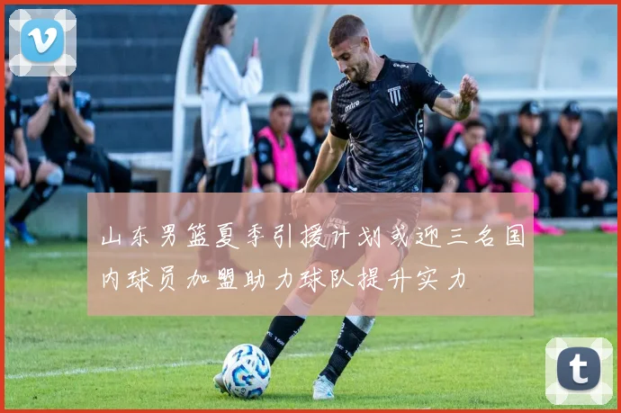 山东男篮夏季引援计划或迎三名国内球员加盟助力球队提升实力